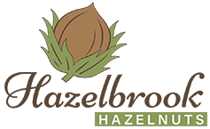 Hazelbrook Hazelnuts